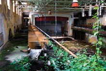 Stages of Decay photograph